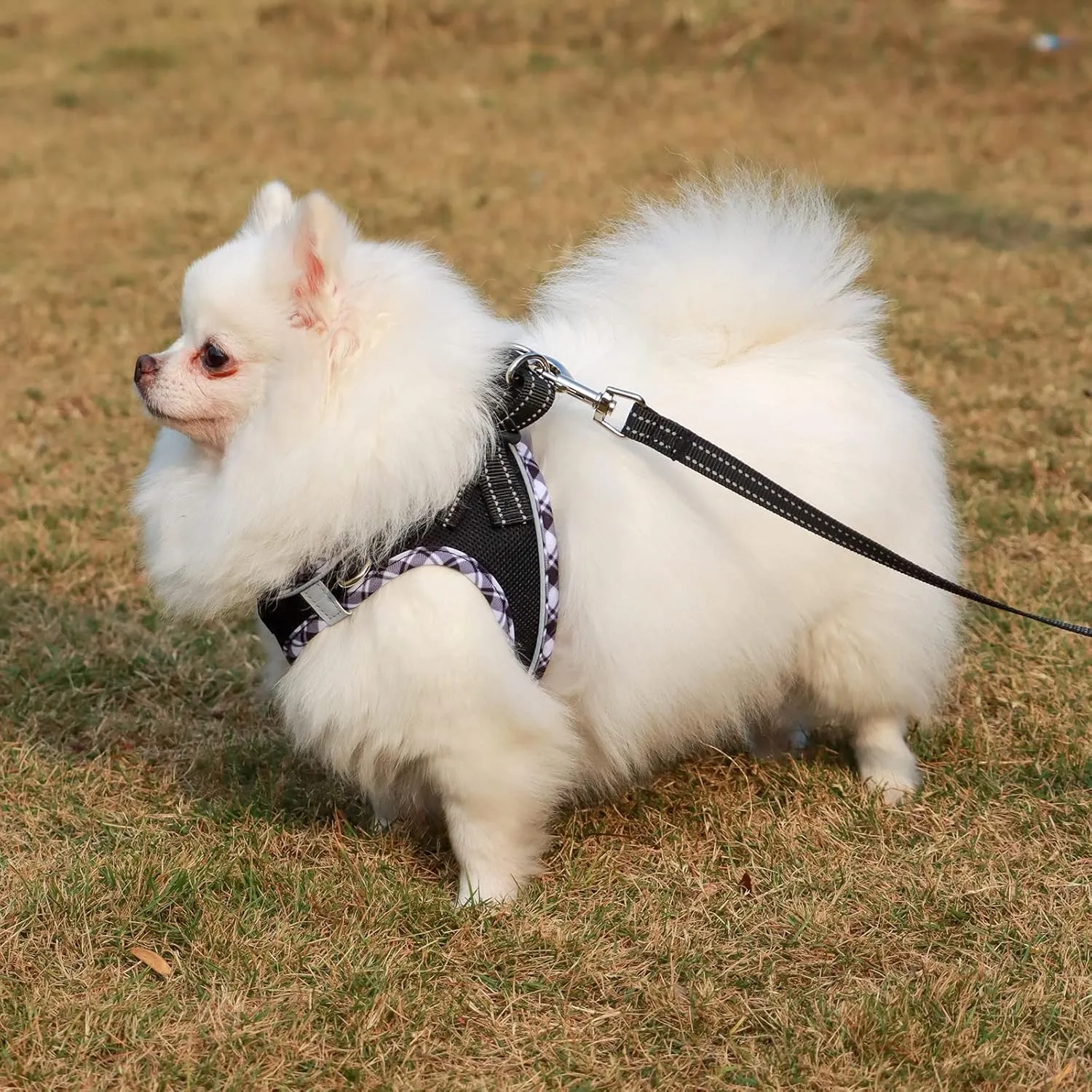 AMTOR Small Dog Harness with Leash Set, No Escape Easy Walk Puppy Harnesses for Training Walking, Step-in Reflective Soft Dogs Vest for XS S Medium Extra-Small Large Sized Dog(S,Black/White checkered)