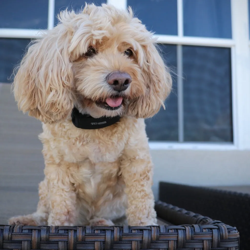 BarkWise™ Training Pack