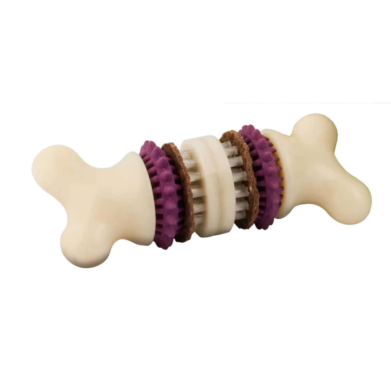 Busy Buddy Bristle Bone