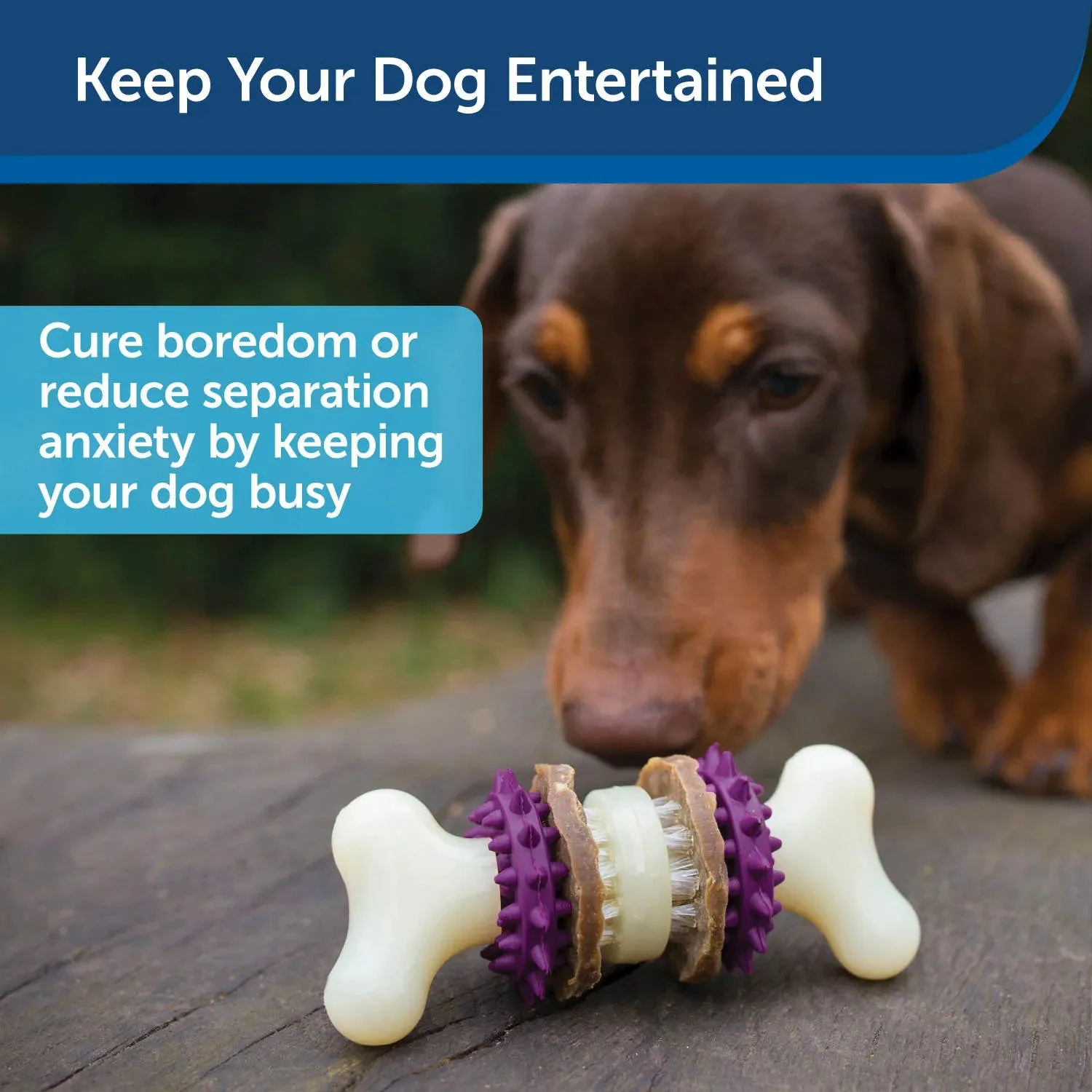 Busy Buddy Bristle Bone