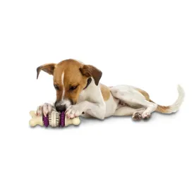 Busy Buddy Bristle Bone