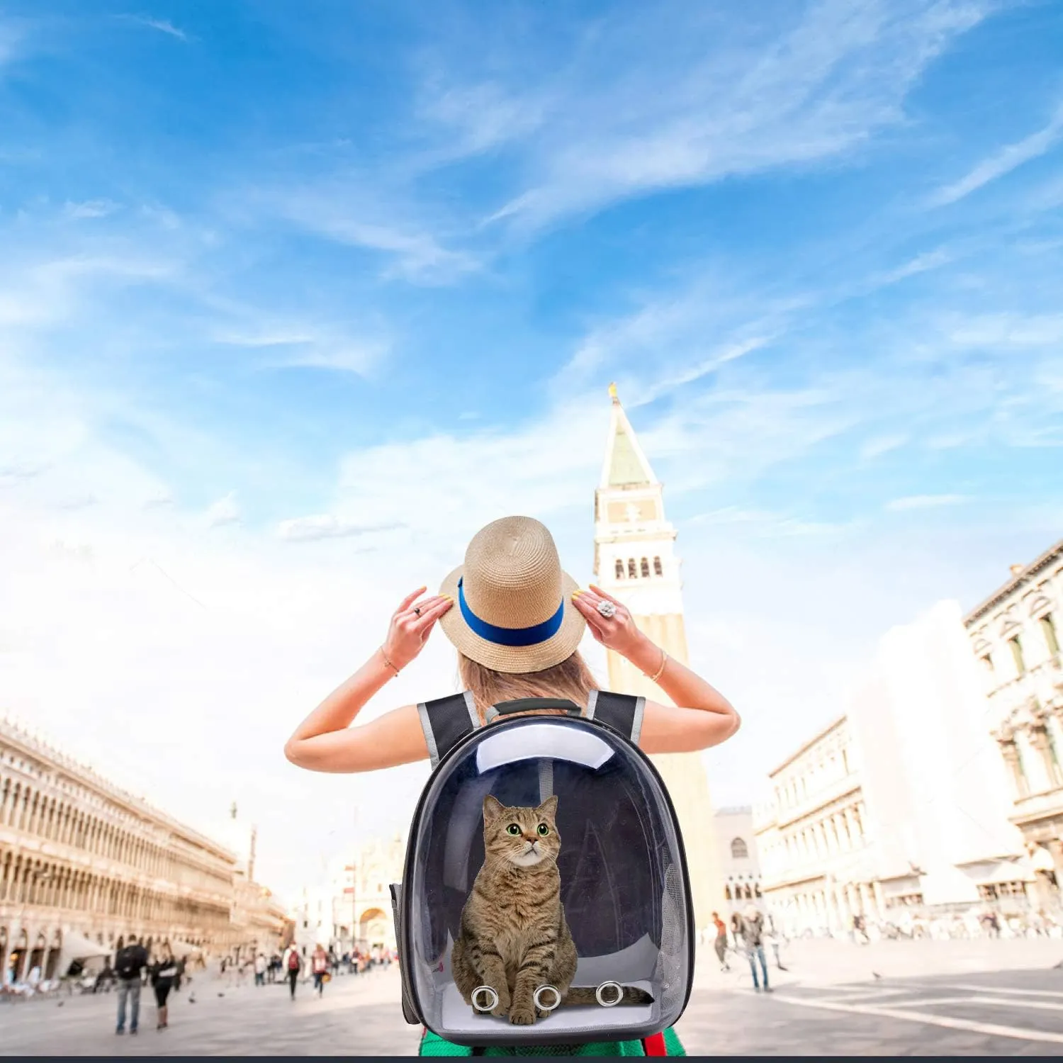 Cat Backpack Carrier Bubble Carrying Bag, Space Capsule Pet Carrier Dog Hiking Backpack, Airline Approved Travel Carrier