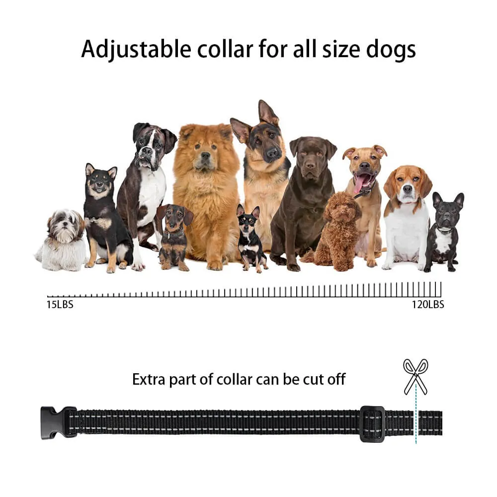 Clearance Deals丨MASBRILL Electric Dog Training Collar-915
