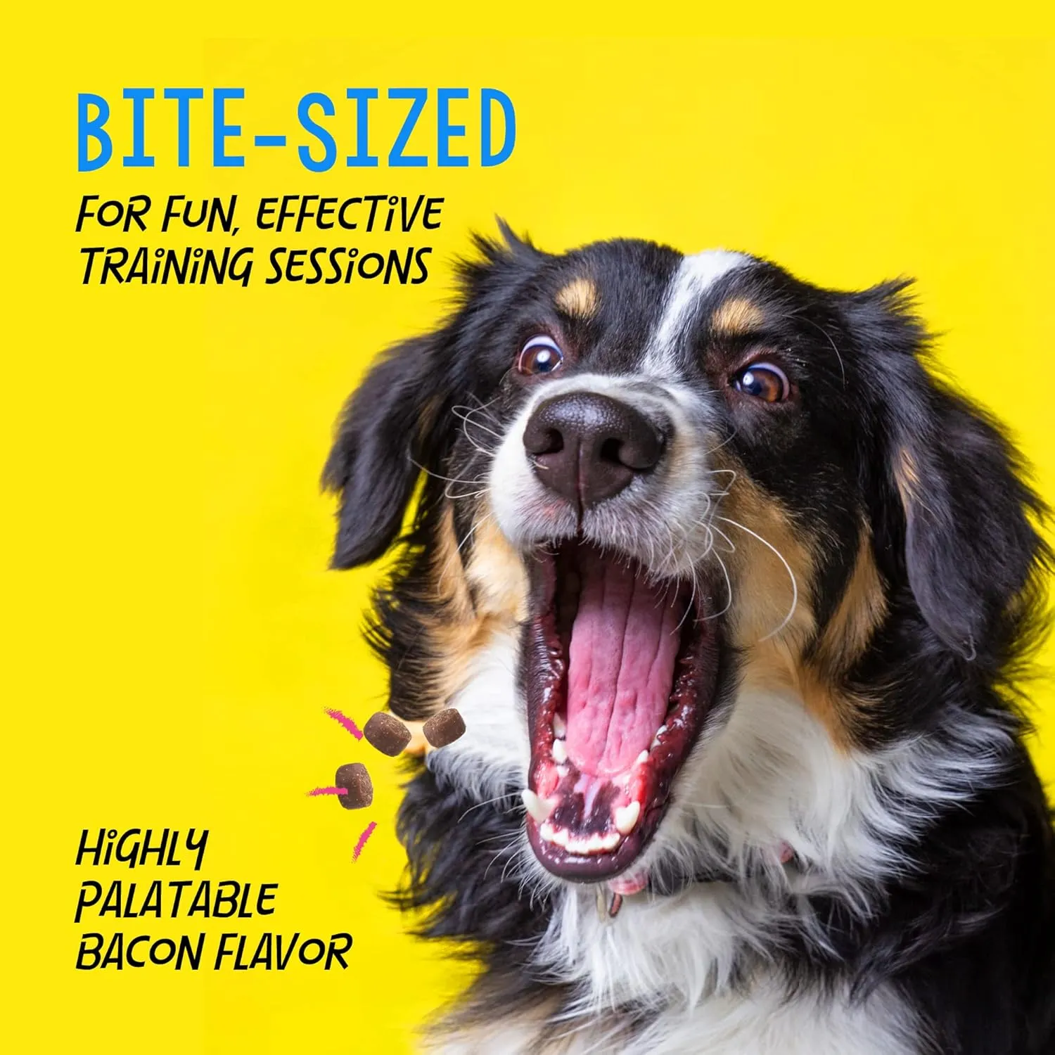 Crazy Dog Train-Me! Training Treats 16 oz. Pouch, Bacon Flavor, with 400 Treats per Bag, Recommended by Dog Trainers