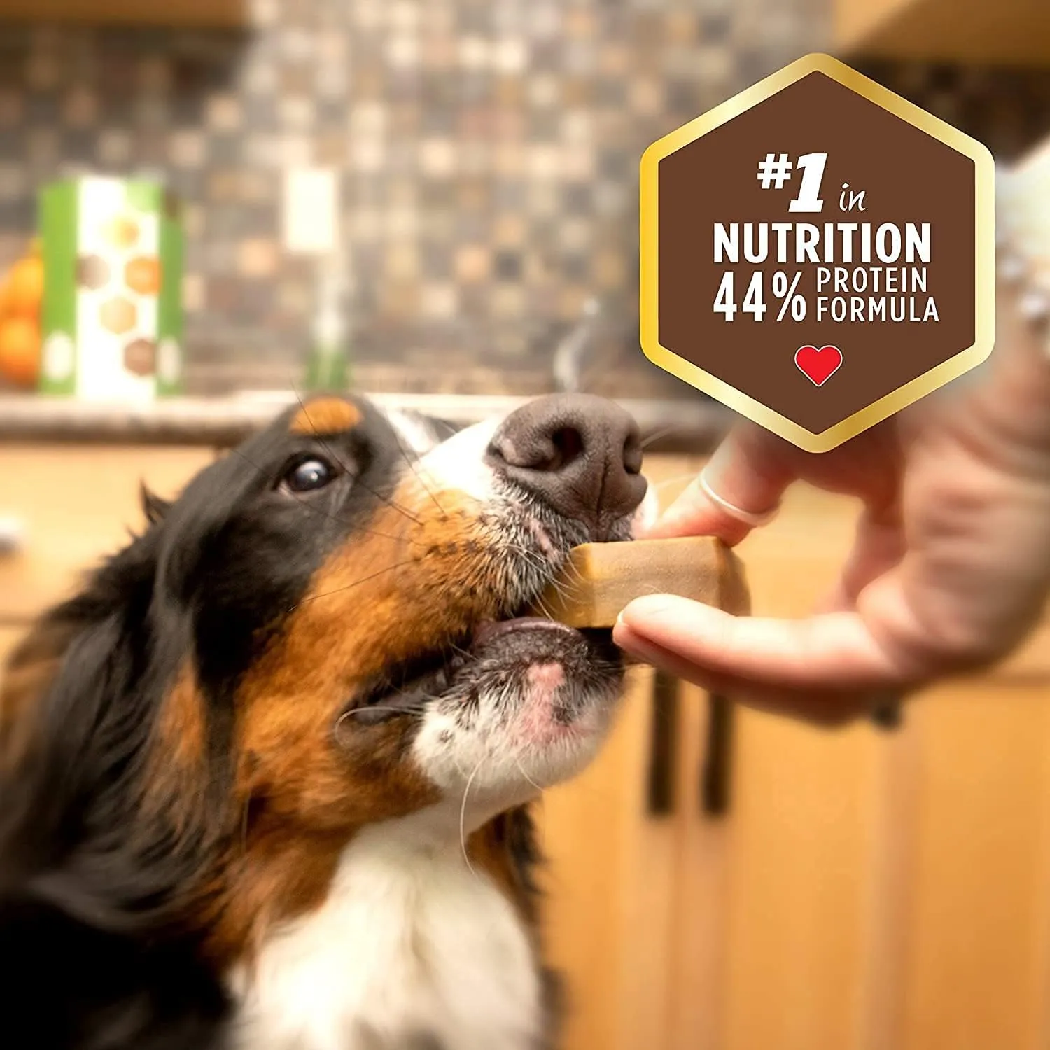 Dog Dental Treat - Extra Small - Protein Formula - 12oz Carton