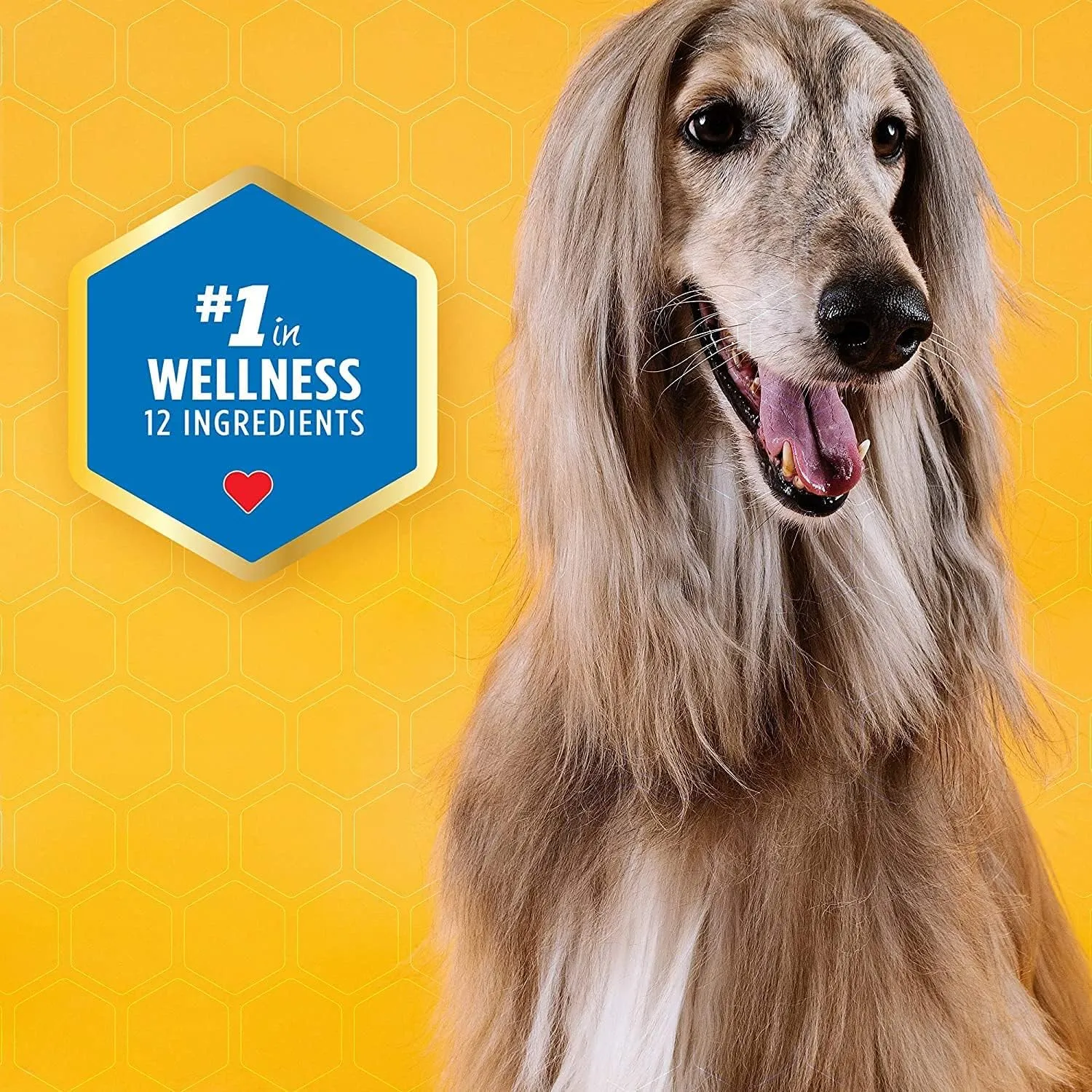 Dog Dental Treat - Extra Small - Protein Formula - 12oz Carton