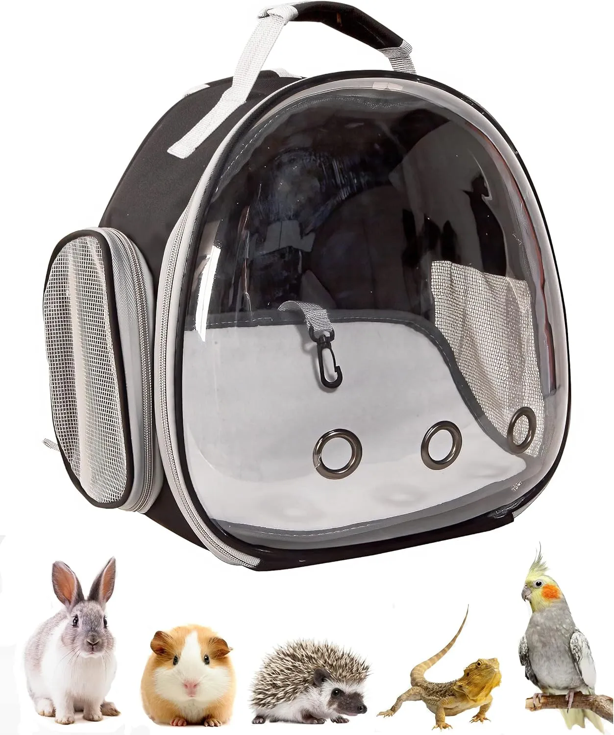 Guinea Pig Carrier Cage, Clear Breathable Small Animal Carrier for Bird Bunny Bearded Dragon Rat Hamster