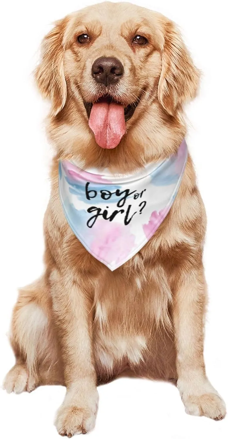 He Or She What Will It Be? Gender Reveal/Baby Announcement Dog Bandana,Pet Neckerchief for Pets Daily Wear Photo Prop Party Supplies (Color Block)