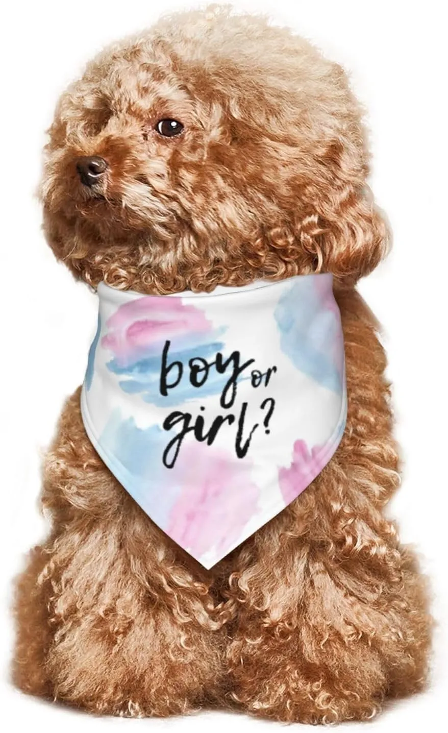 He Or She What Will It Be? Gender Reveal/Baby Announcement Dog Bandana,Pet Neckerchief for Pets Daily Wear Photo Prop Party Supplies (Color Block)