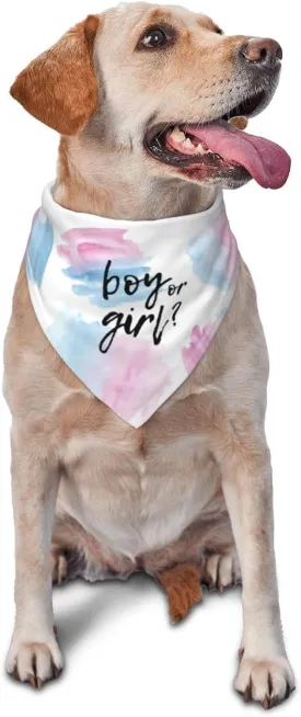 He Or She What Will It Be? Gender Reveal/Baby Announcement Dog Bandana,Pet Neckerchief for Pets Daily Wear Photo Prop Party Supplies (Color Block)