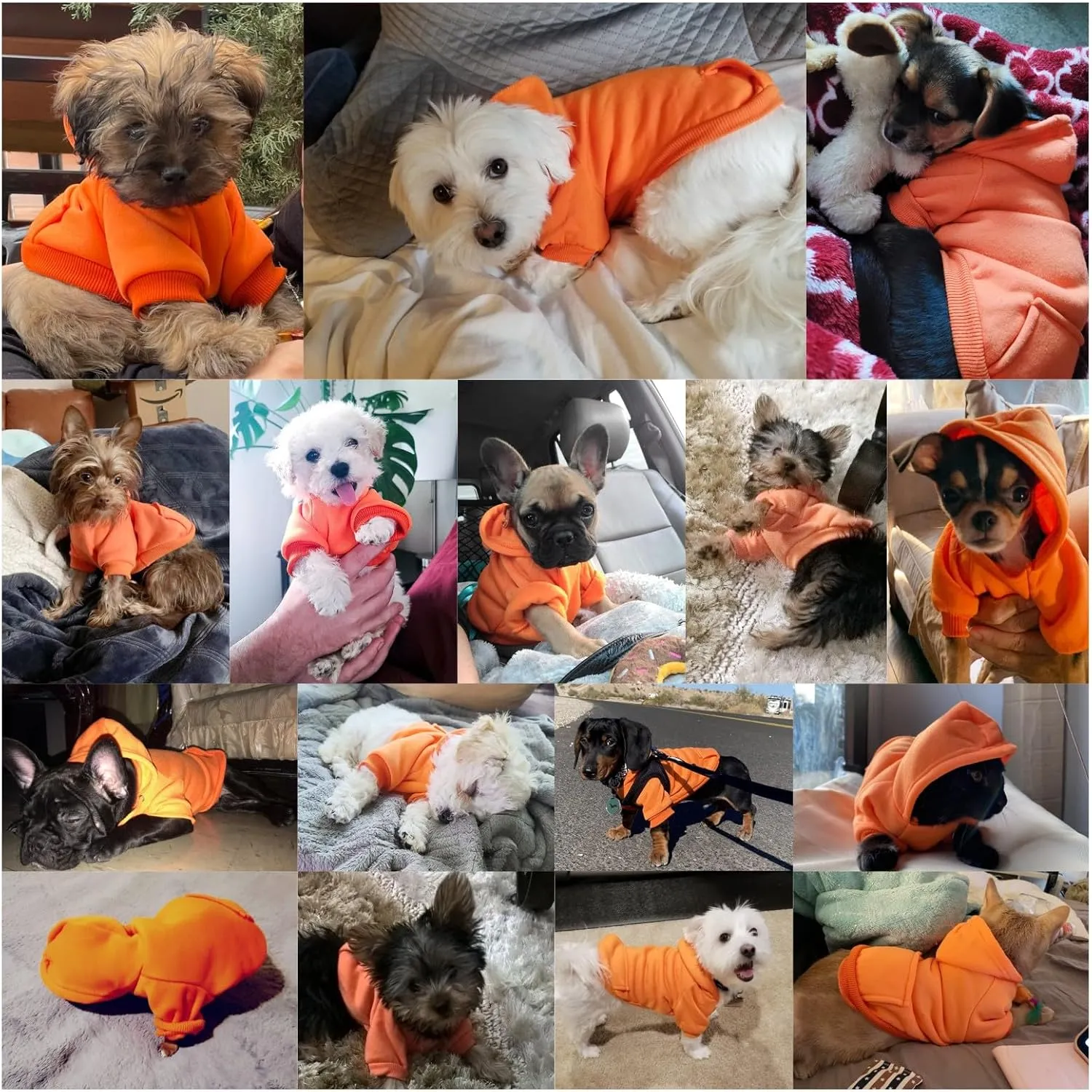 Jecikelon Winter Dog Hoodie Sweatshirts with Pockets Warm Dog Clothes for Small Dogs Chihuahua Coat Clothing Puppy Cat Custume (Orange, Medium)