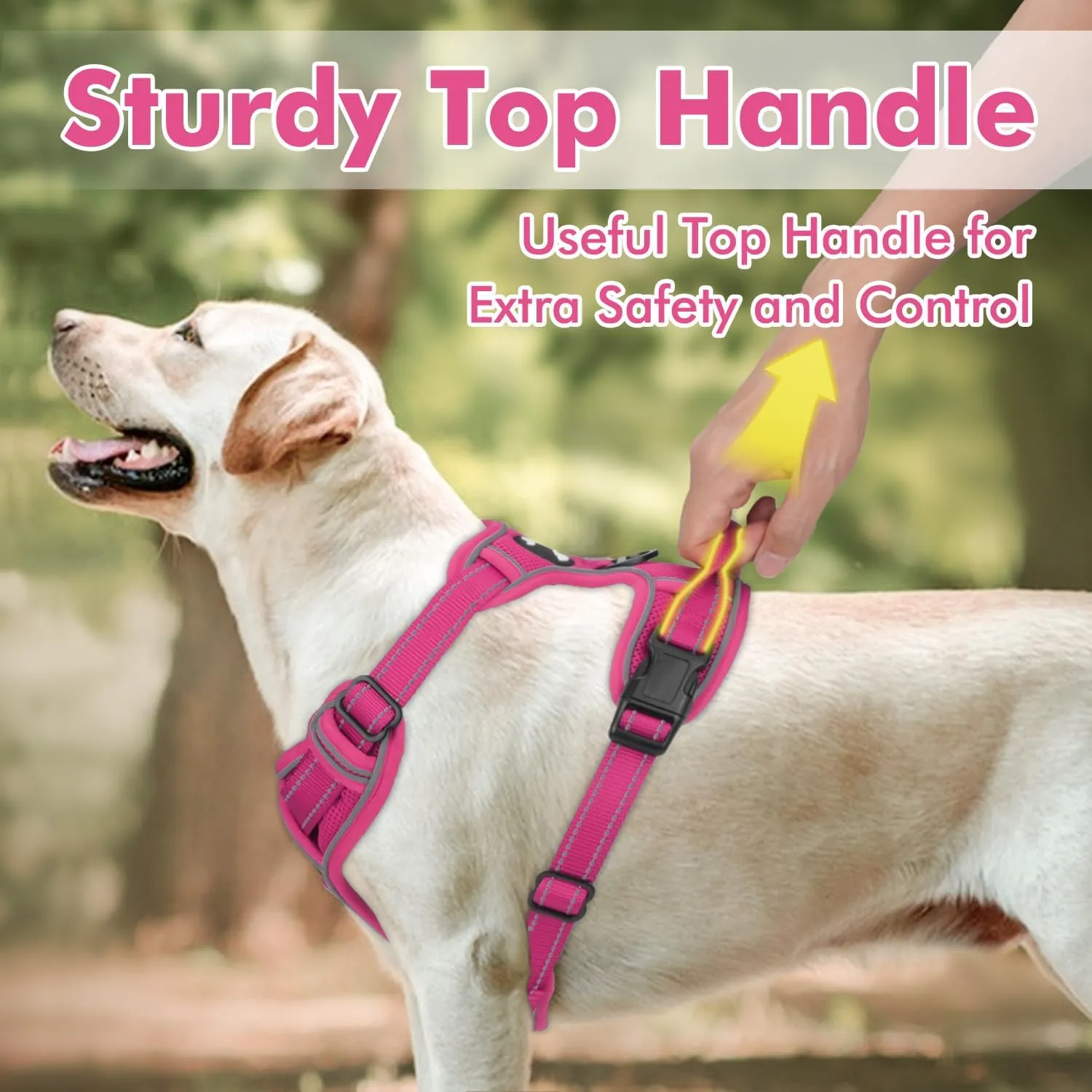 Joytale Step-in No Pull Dog Harness for Small Dogs with 2 Leash Clips, Reflective Pet Vest with Easy Control Handle, Adjustable Soft Padded Harness for Walking and Training, Hotpink,S