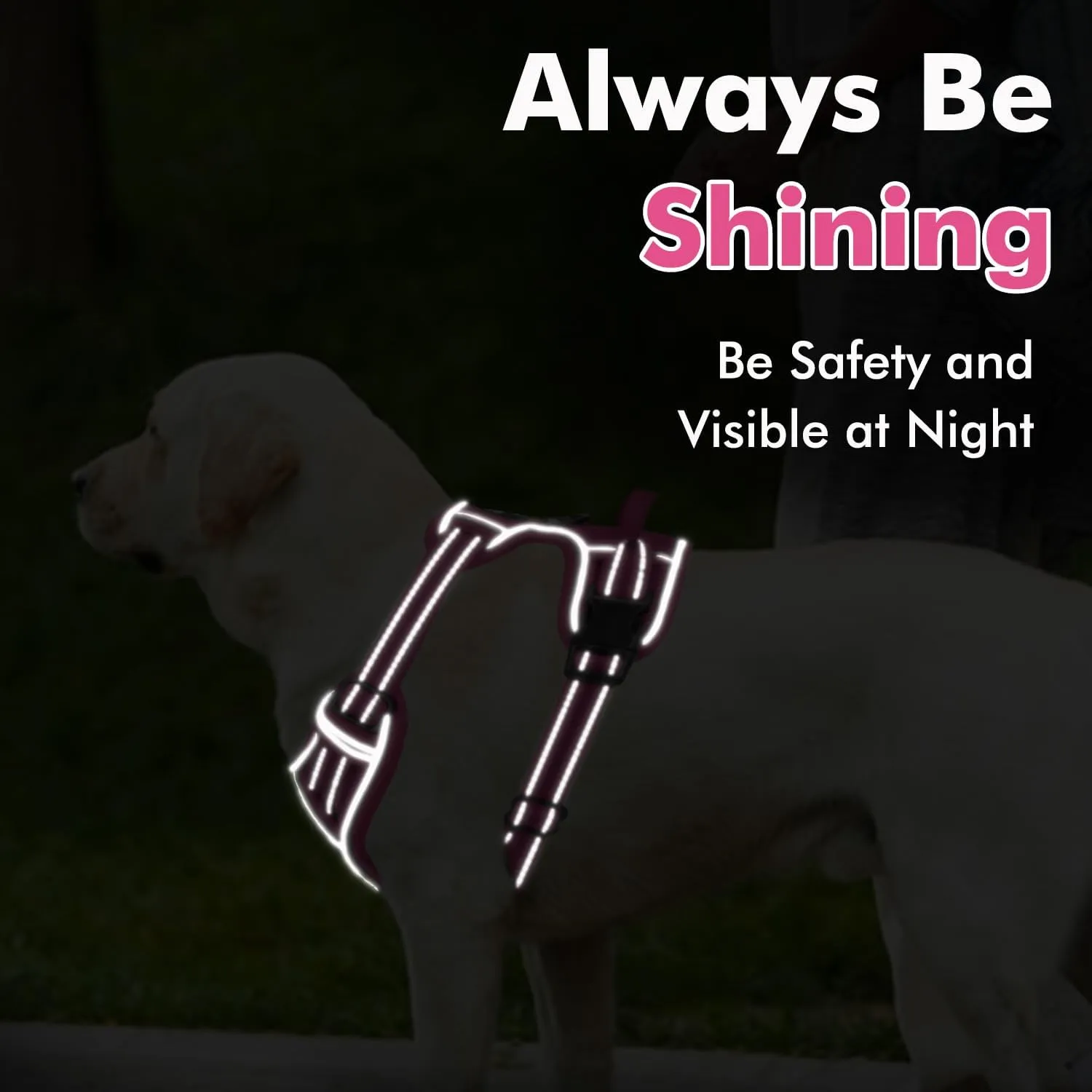 Joytale Step-in No Pull Dog Harness for Small Dogs with 2 Leash Clips, Reflective Pet Vest with Easy Control Handle, Adjustable Soft Padded Harness for Walking and Training, Hotpink,S