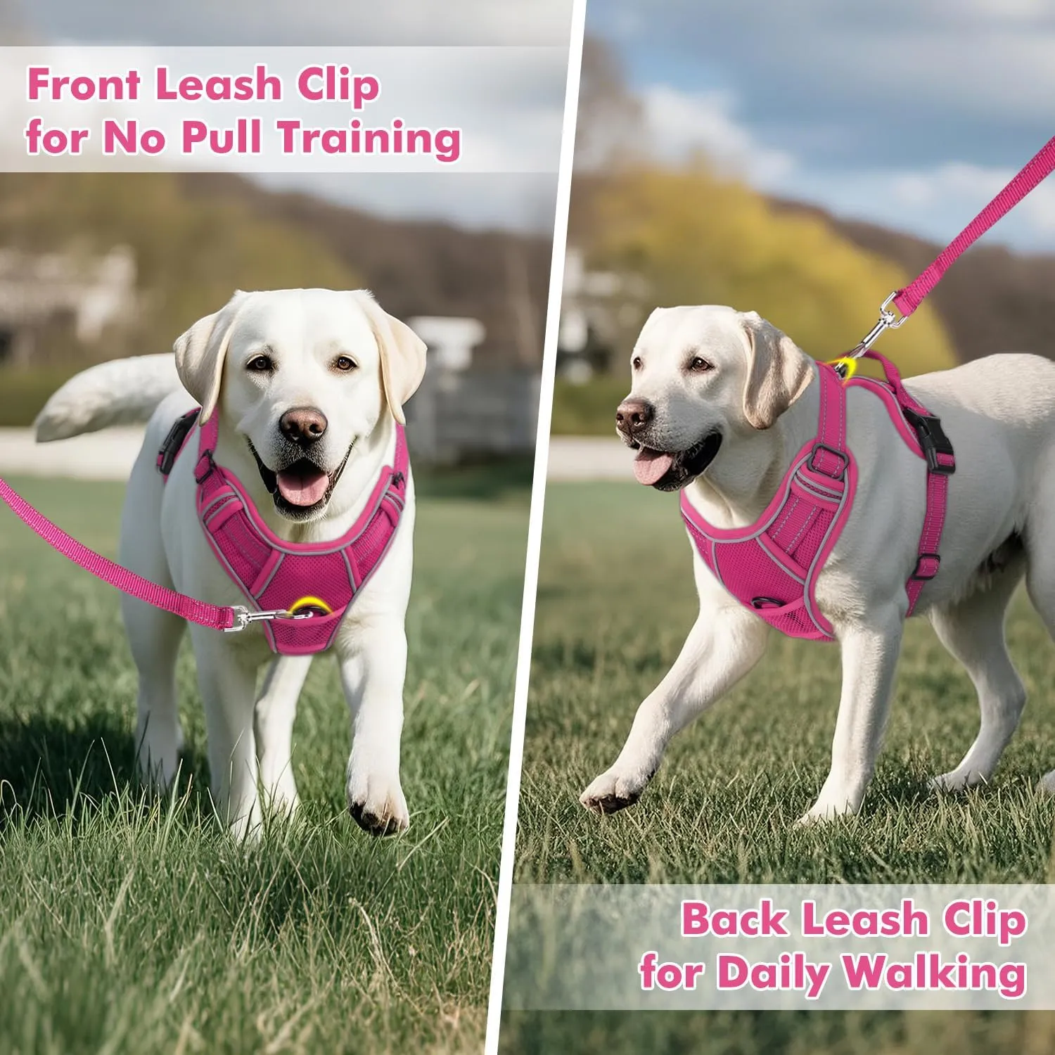 Joytale Step-in No Pull Dog Harness for Small Dogs with 2 Leash Clips, Reflective Pet Vest with Easy Control Handle, Adjustable Soft Padded Harness for Walking and Training, Hotpink,S