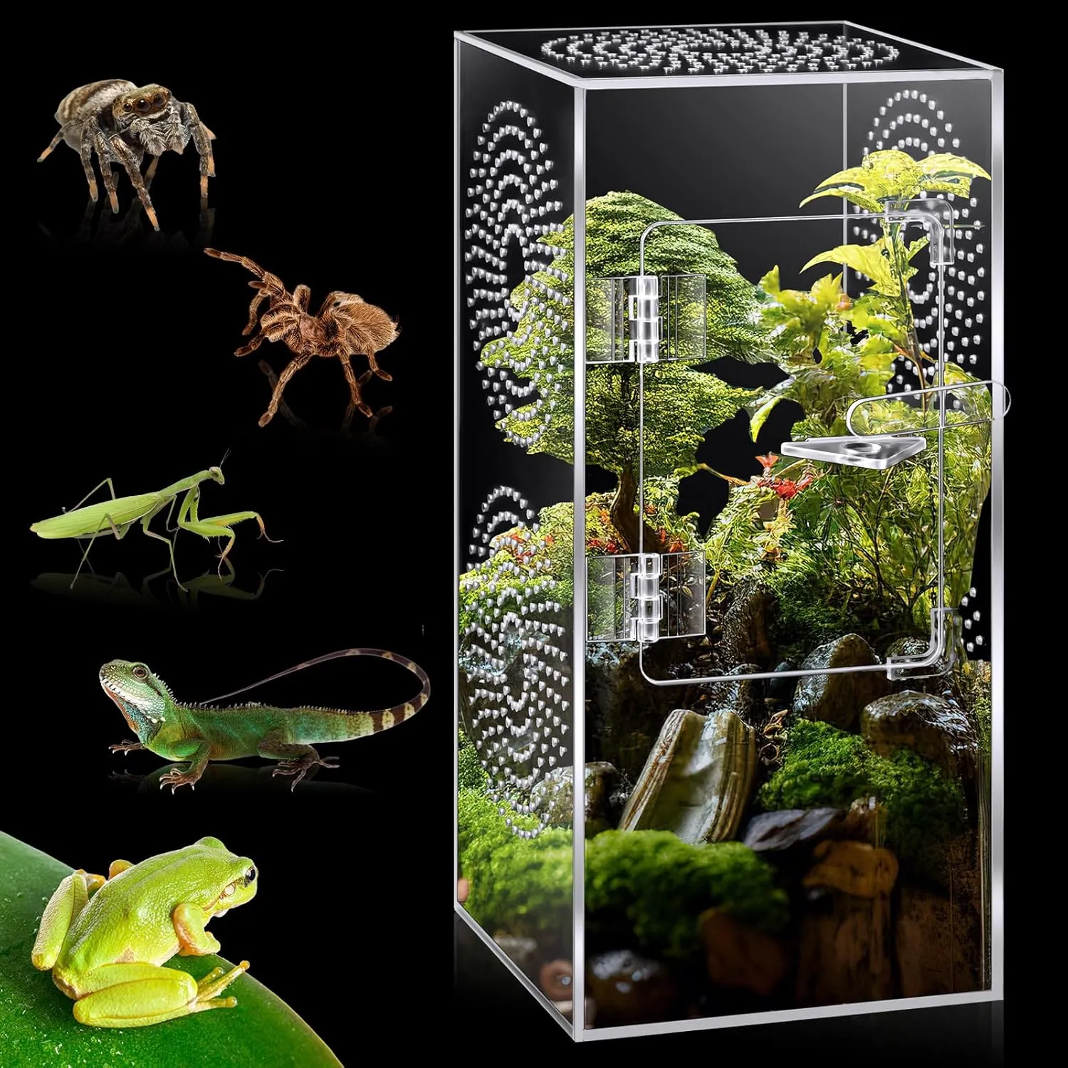 Jumping Spider Enclosure 11 x 5 x 5 Inch Large Acrylic Tarantula Terrarium Reptile Enclosure Tank with Front Opening Door Full Transparency Terrarium for Bug Spider Insect Frog