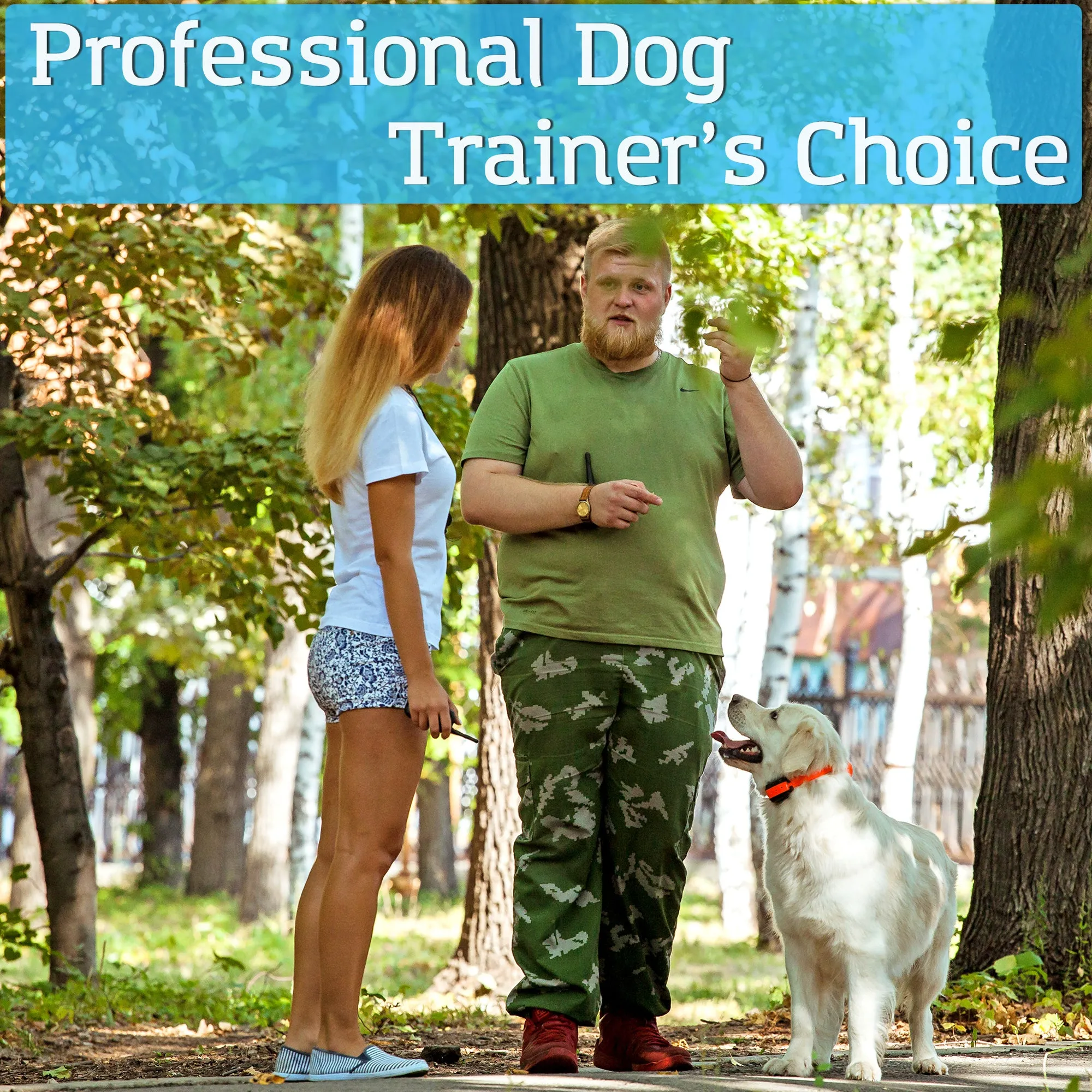 M86N Advanced Dog Training Collar