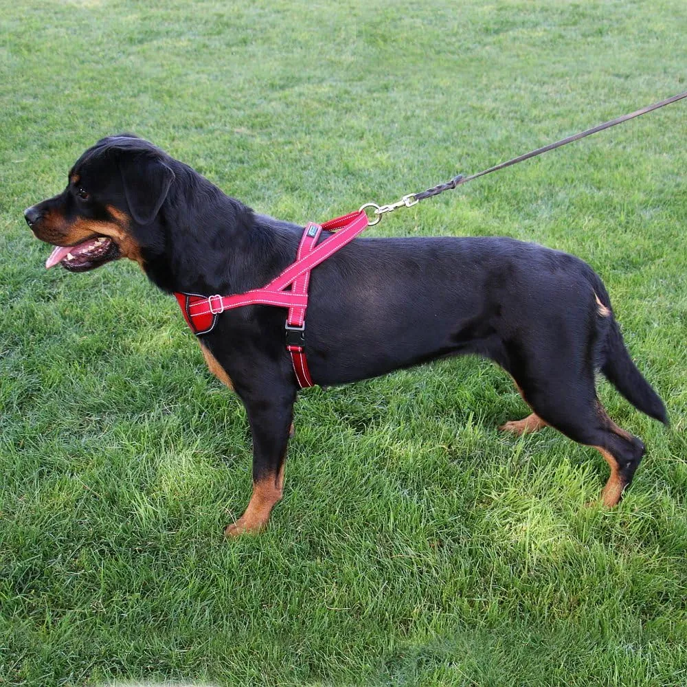 Max and Neo Passport Reflective Dog Harness - We Donate a Harness to a Dog Rescue for Every Harness Sold (Small, Pink)