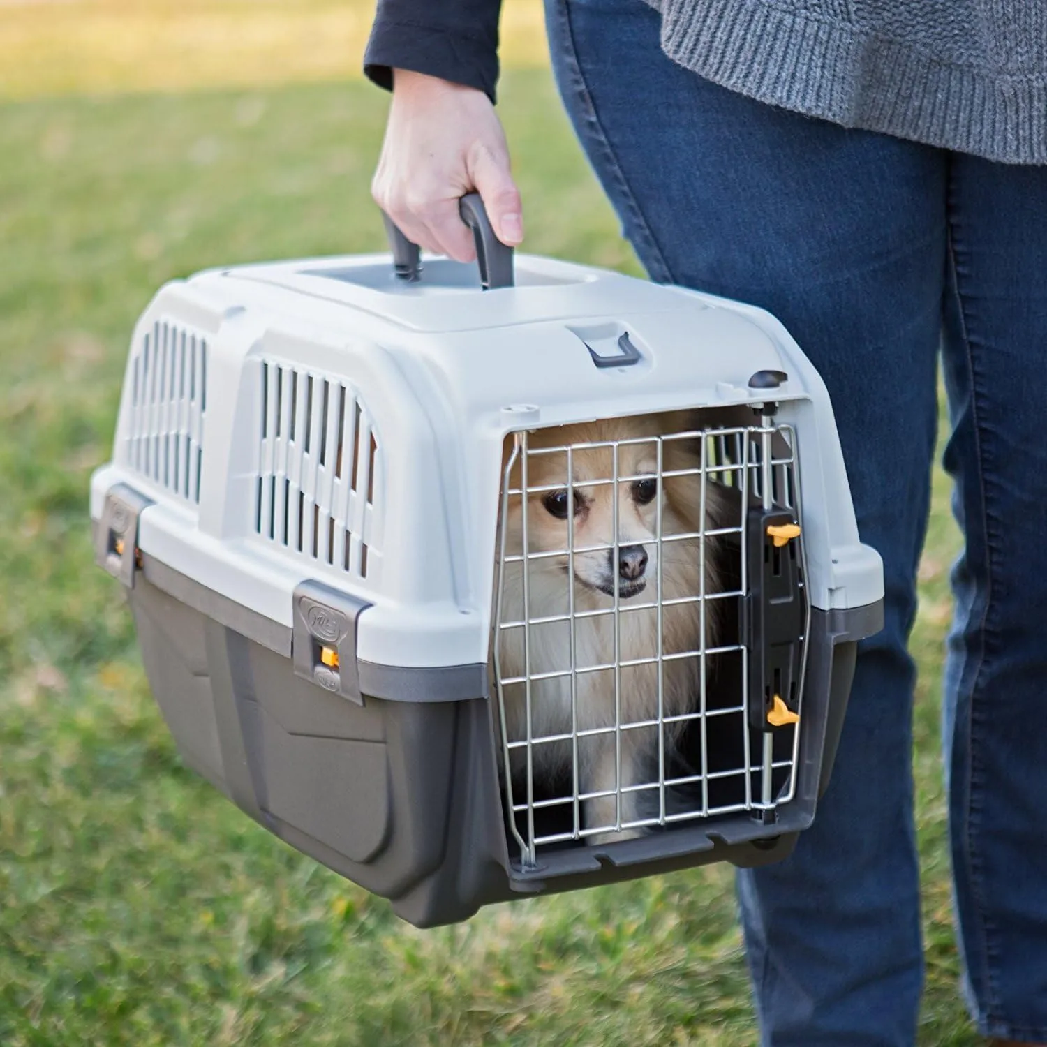 MidWest Homes for Pets Skudo Plastic Carrier, 19-Inch Ideal for "Toy" Dogs with an Adult Weight up to 6 Pounds