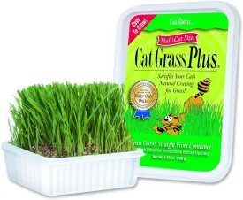Miracle Care Cat A'bout Cat Grass Kit For Indoor Cats, 5.25 Ounce, Hairball Control, Anti-Inflammatory, Improves Digestion and Metabolism