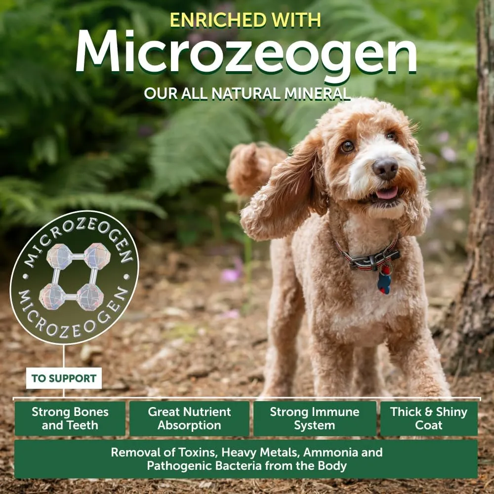Nature's Protection Superior Care Grain-Free Dry Dog Food - High Protein, Coat Shine Dog Food for All Breeds Red Coated All Life Stages Dogs, Fresh Pet Meal, Salmon, 22 lb