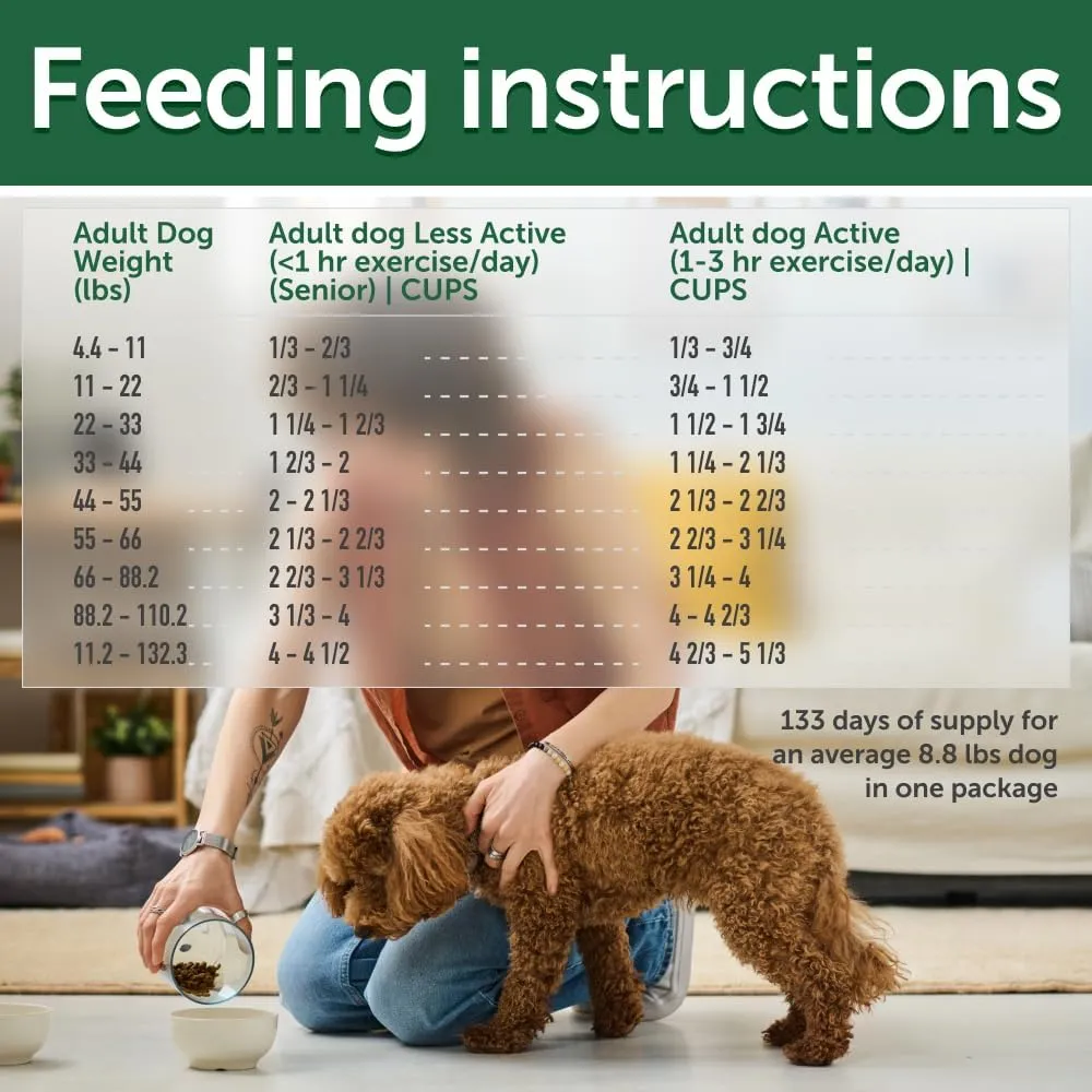 Nature's Protection Superior Care Grain-Free Dry Dog Food - High Protein, Coat Shine Dog Food for All Breeds Red Coated All Life Stages Dogs, Fresh Pet Meal, Salmon, 22 lb