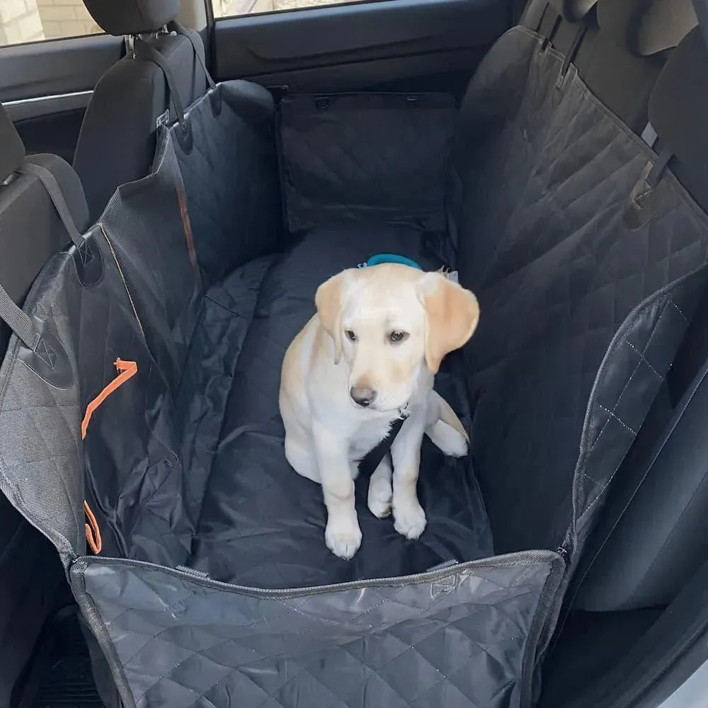 Pawz Pet Back Seat Cover