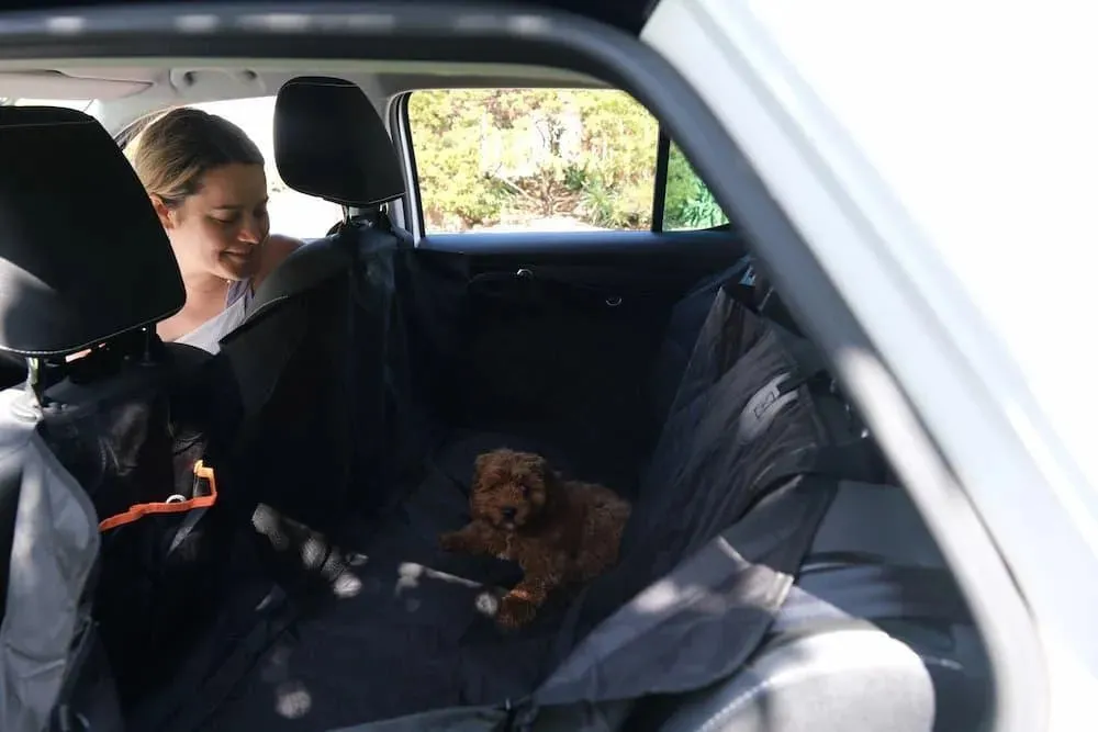 Pawz Pet Back Seat Cover