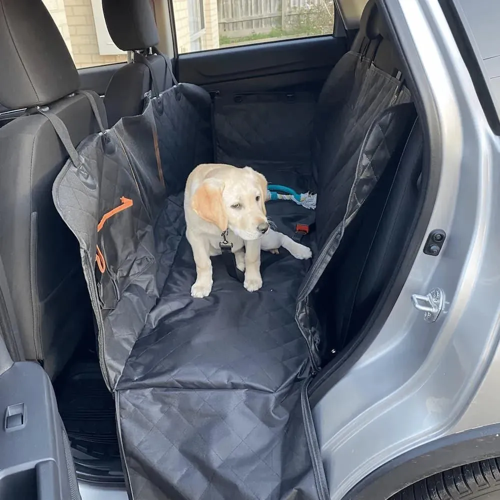 Pawz Pet Back Seat Cover