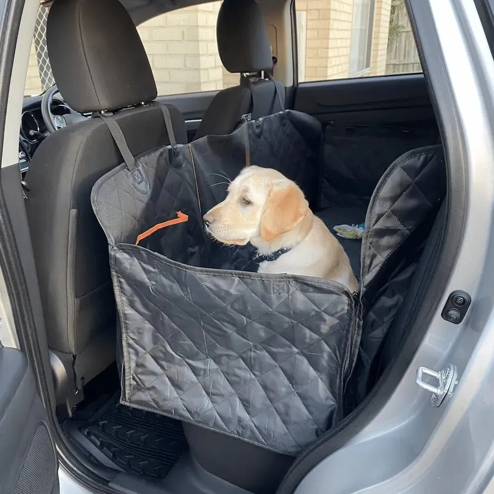 Pawz Pet Back Seat Cover