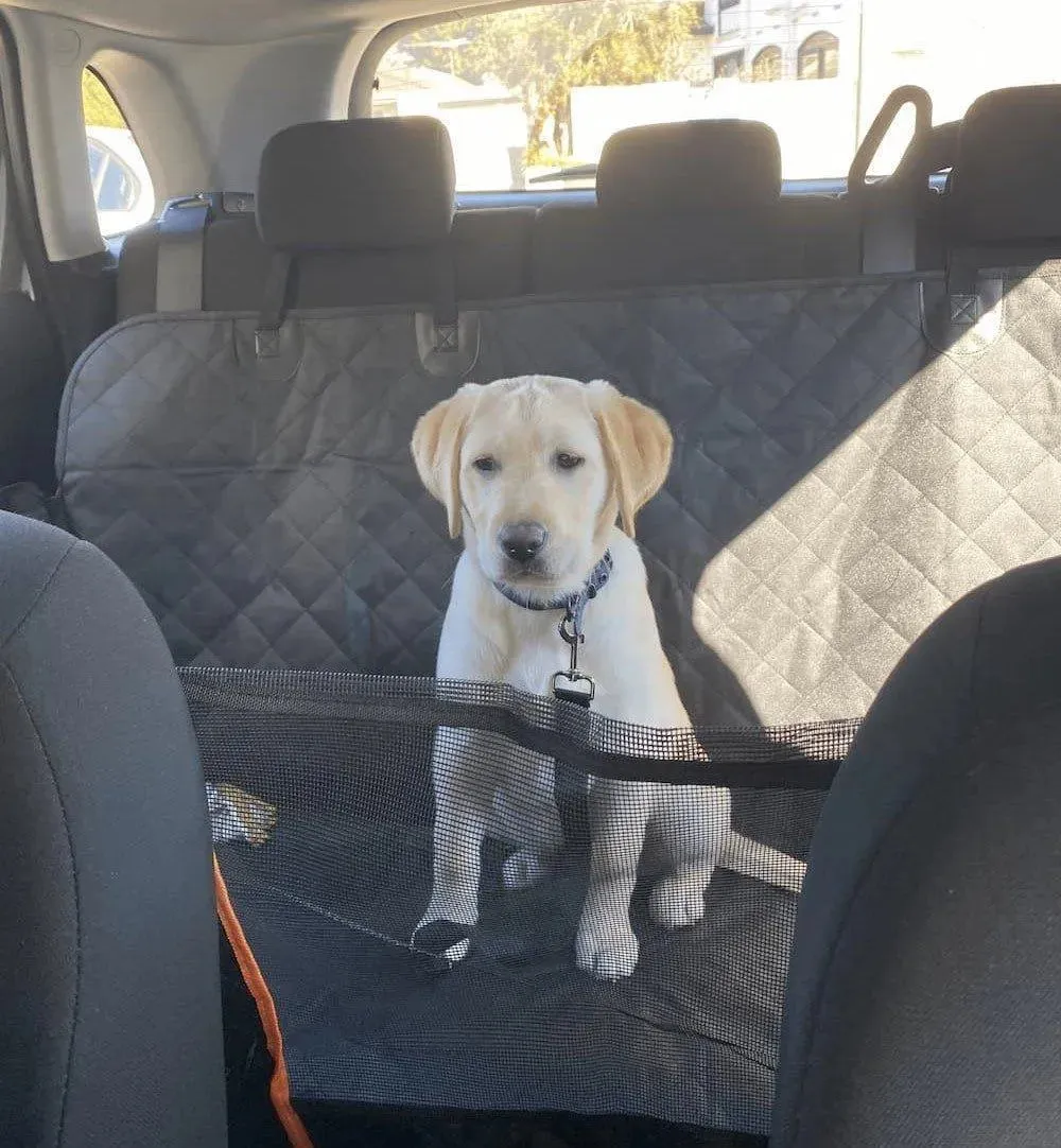 Pawz Pet Back Seat Cover