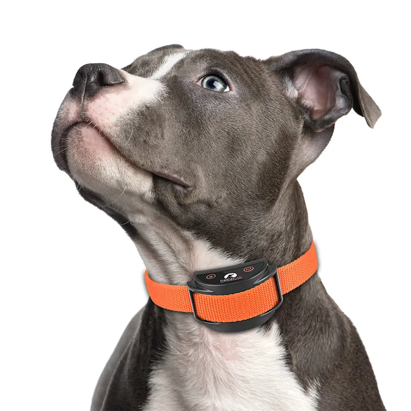 PD 520S Remote Dog Training Collar With Shock