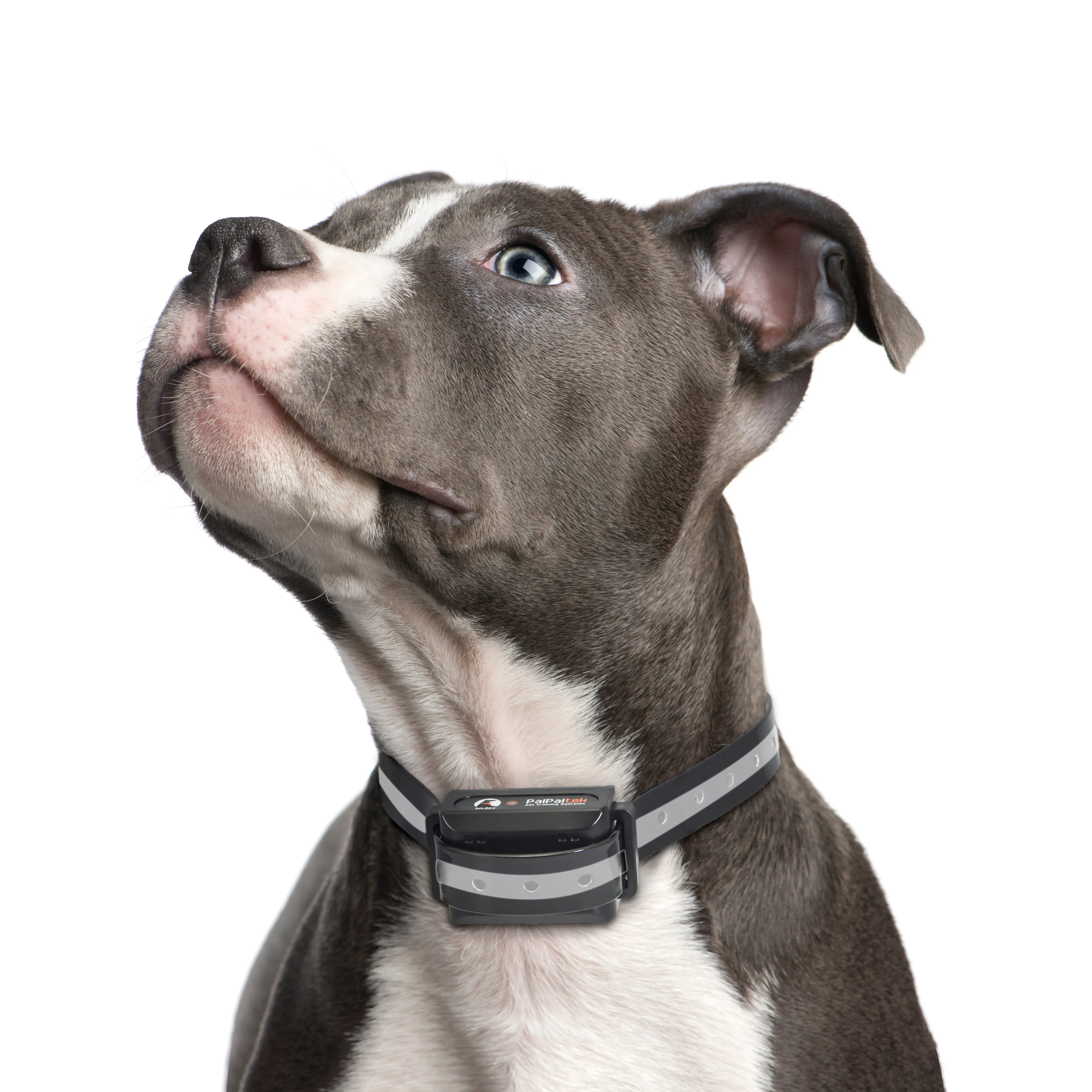 PD 529-TIO 2 IN 1 Dog Remote Training Collar And Automatic Bark Stop With Shock