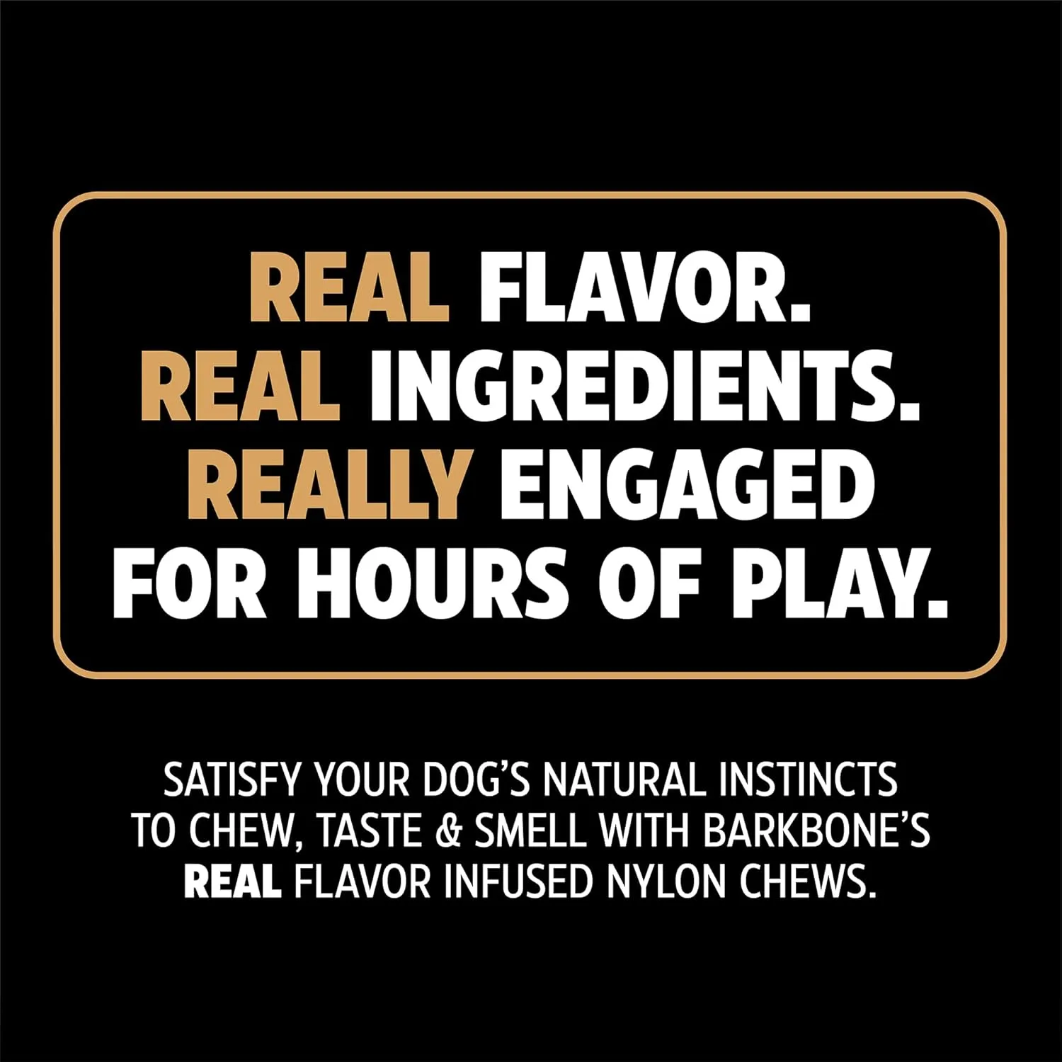 Pet Qwerks Barkbone Flavorit Peanut Butter Flavor Bone - Fillable Surface for Spreads; Tough Durable Toys for Aggressive Power Chewers | Made in USA - Medium & Small Dogs