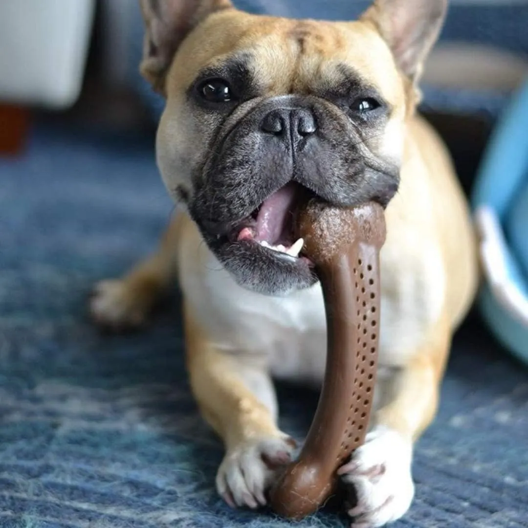 Pet Qwerks Barkbone Flavorit Peanut Butter Flavor Bone - Fillable Surface for Spreads; Tough Durable Toys for Aggressive Power Chewers | Made in USA - Medium & Small Dogs