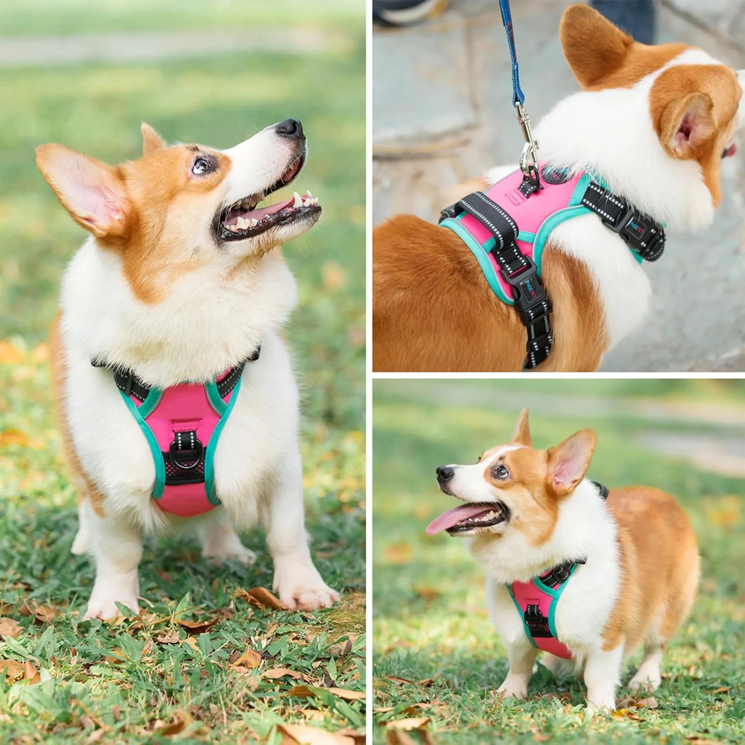 PHOEPET 2019 Upgraded No Pull Dog Harness, Reflective Adjustable Vest, with a Training Handle   2 Metal Leash Hooks  3 Snap Buckles  4 Slide Buckles(L, Pink)