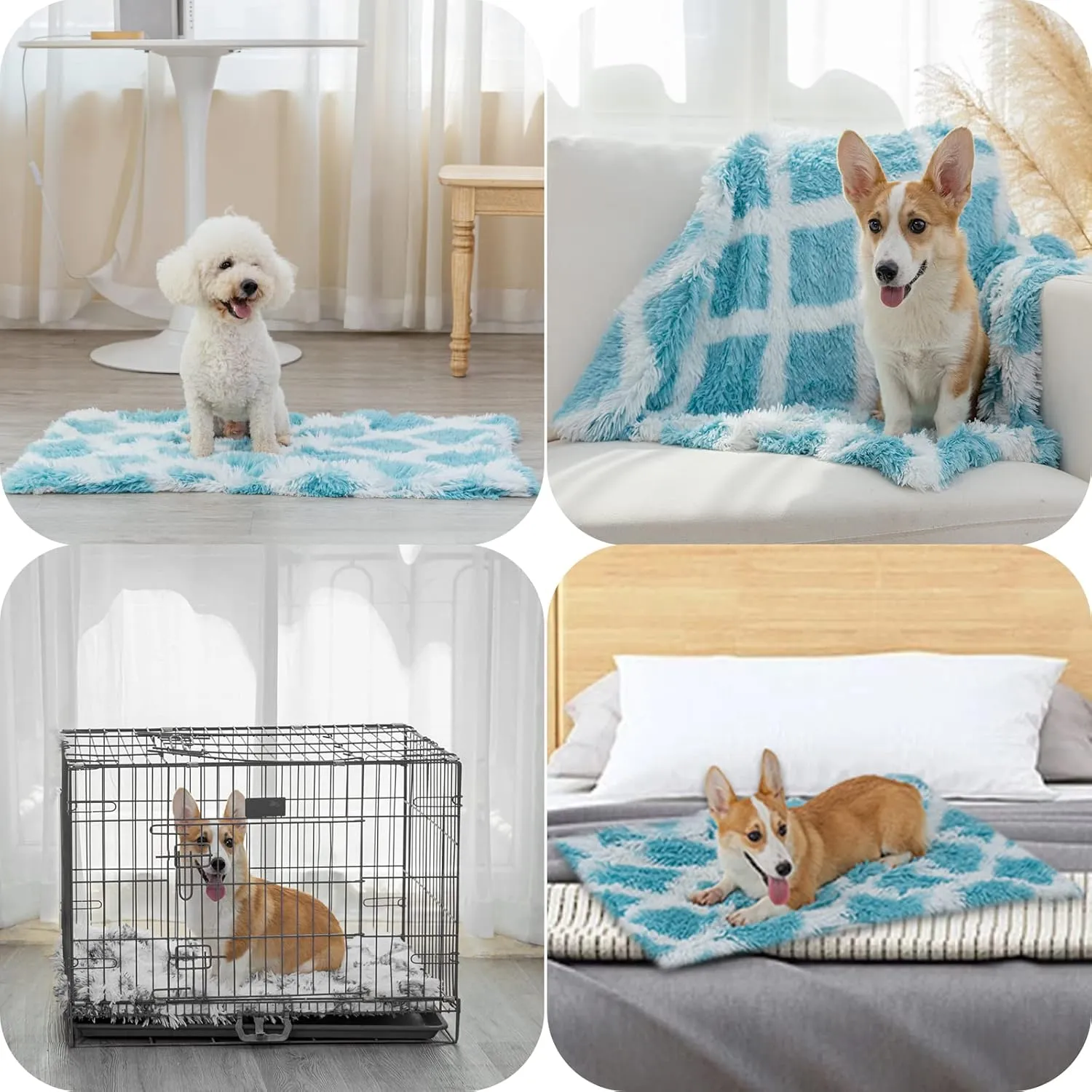 PJYuCien Fluffy Fleece Calming Pet Throw Blanket, Super Soft and Warm for Indoor Cats and Dogs, Small 16 * 24", Machine Washable, Blue Diamond Pattern, White Puppy Bed