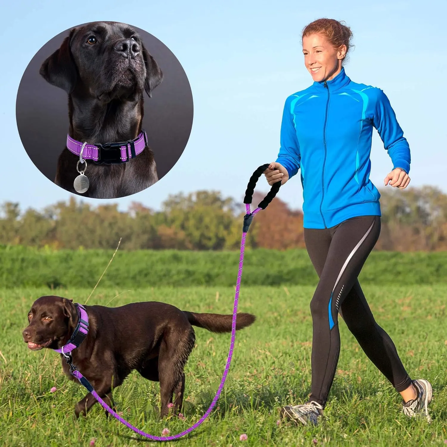 Reflective Dog Collar Padded with Soft Neoprene Breathable Adjustable Nylon Dog Collars for Small Medium Large Dogs (Small (Pack of 1), Purple Collar Leash)
