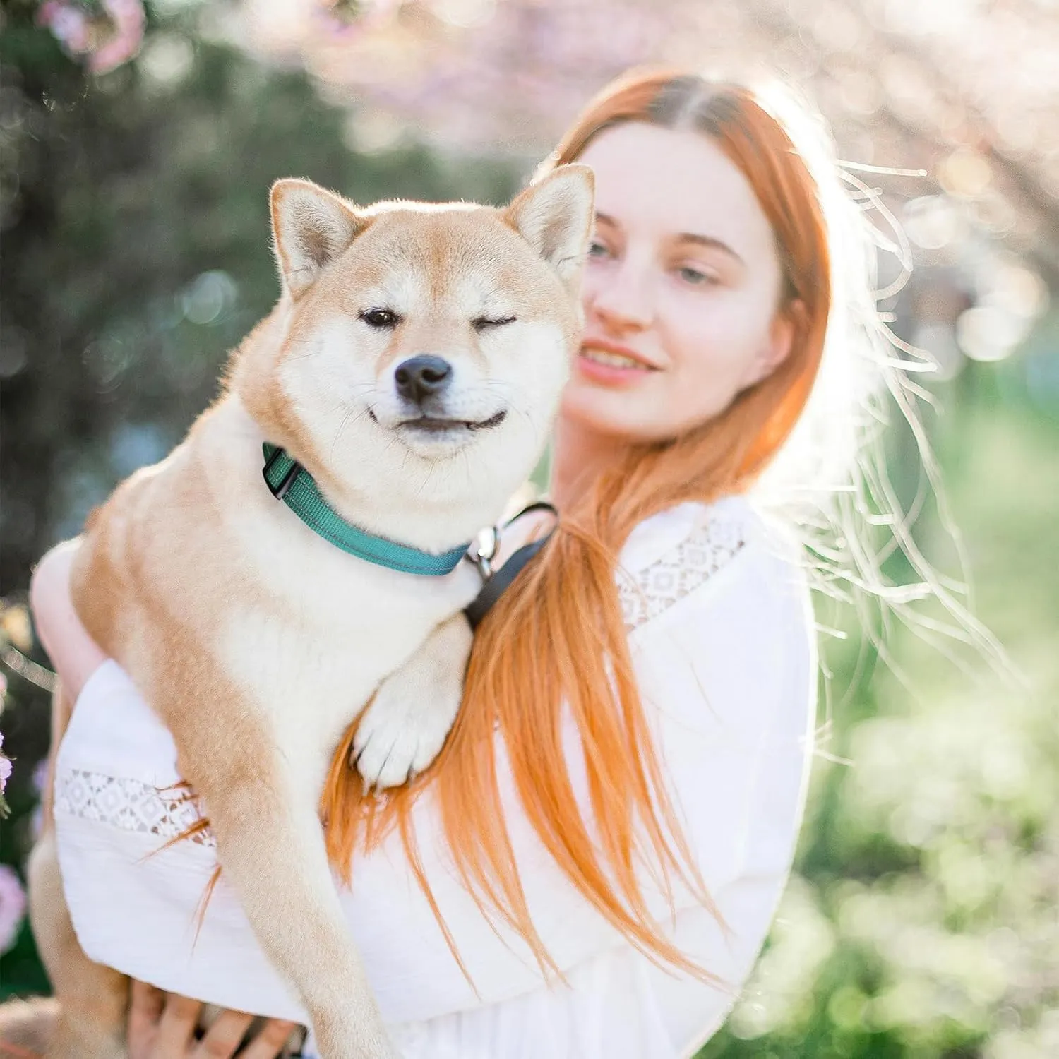 Roses&Poetry Dog Collars for Medium Dogs, Adjustable Durable Pet Collars for Small Medium Large Dogs (Bluegreen-M)