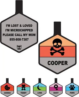Silent Dog Tag Personalized with 5 Lines of Custom Deep Engraved Durable Soundless Silicone Pet ID Name Tag Hexagon Orange
