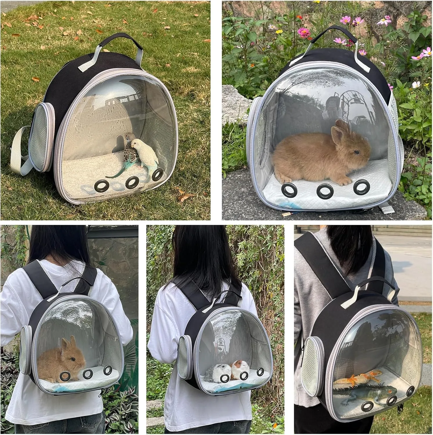 Small Animal Carrier Backpack Space Capsule Bubble Window Carrier Backpack for Lizard Guinea Pig (Black)